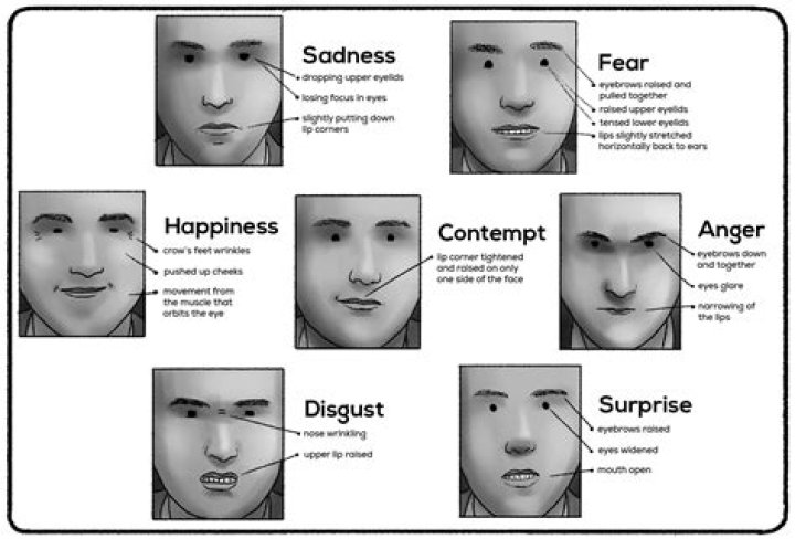 A Guide To Meaningful Expressions