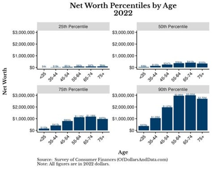 Insights Into Her Net Worth By 2024